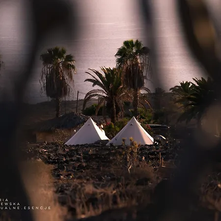 The Tree House Surf Camp 旅馆 *