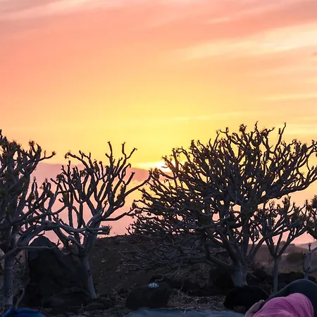 旅馆 The Tree House Surf Camp