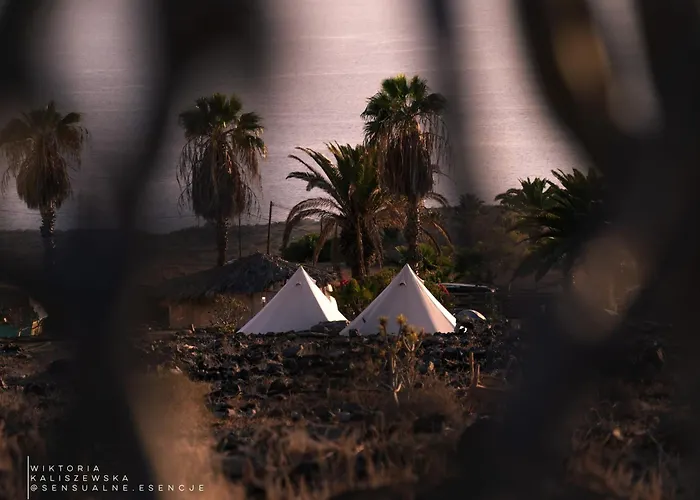 The Tree House Surf Camp Hostel *