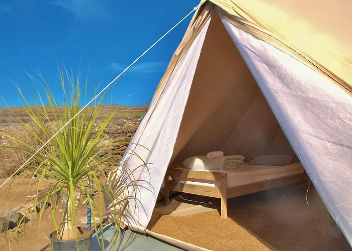 Hostel The Tree House Surf Camp *