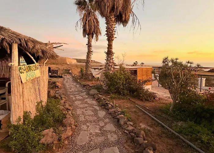 The Tree House Surf Camp Costa Adeje (Tenerife)