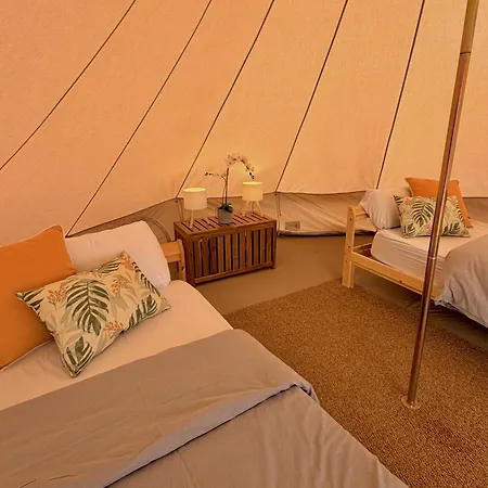 אכסניה The Tree House Surf Camp